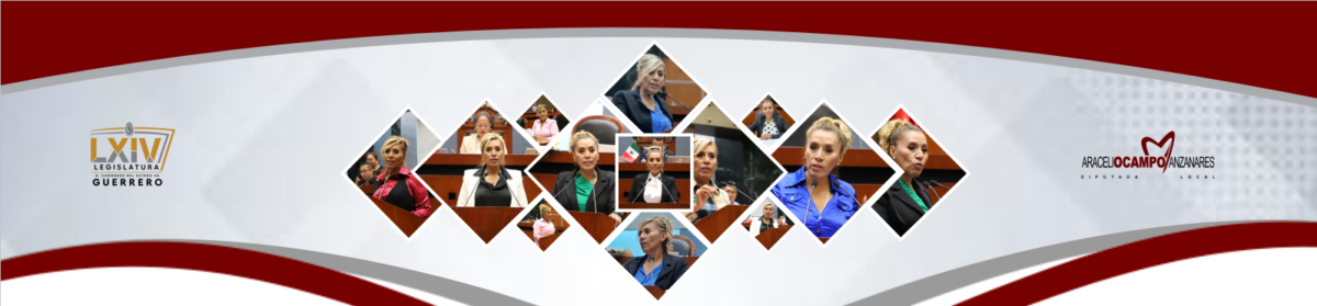 Araceli Ocampo Manzanares